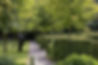 Commercial gardens2.jpg