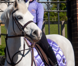Thumbnail: Saddle Pads