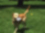 1b8bd359-3f0f-4a1d-9b25-16020cfede46.jpeg