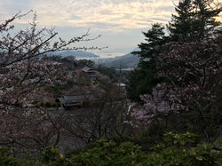 sense of Onomichi.jpg