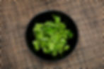 Cilantro