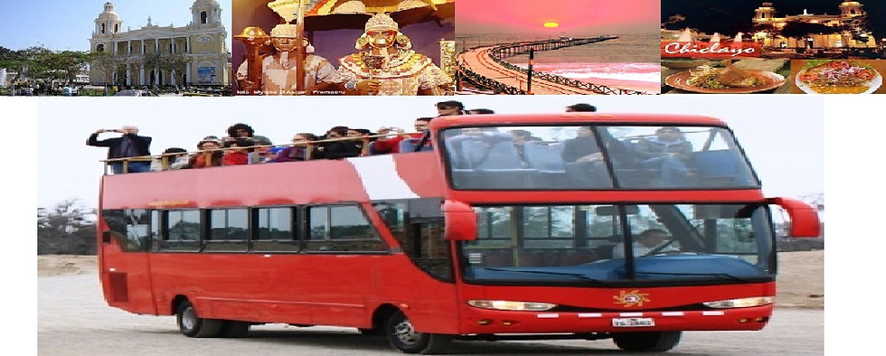 movil02 chiclainbus.jpg