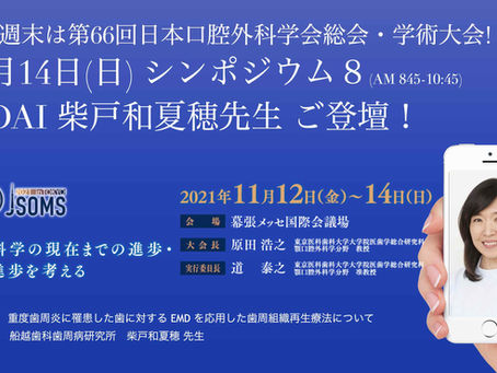 この週末は第66回日本口腔外科学会総会・学術大会!シンポジウムに柴戸和夏穂先生ご登壇