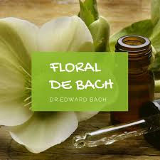 Florais de Bach -