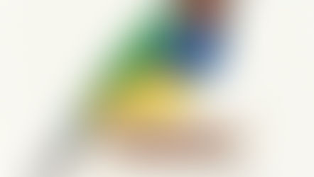FUNDO BRANCO