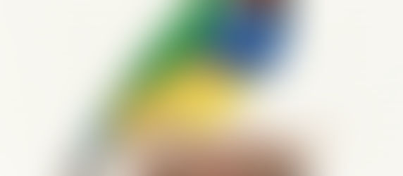 FUNDO BRANCO