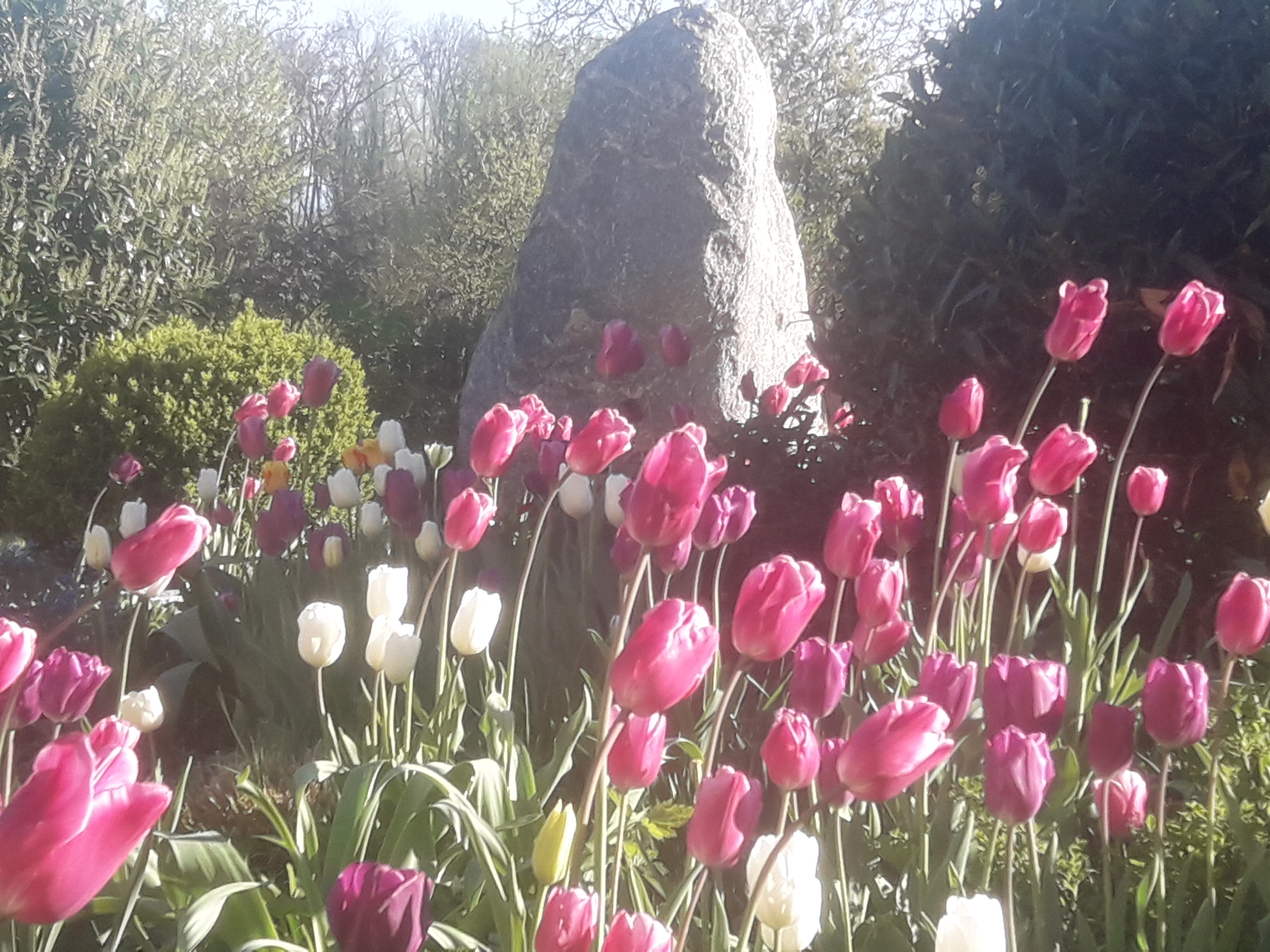 Garten Mit Teich Grosse 4000m2 Klugimgarten