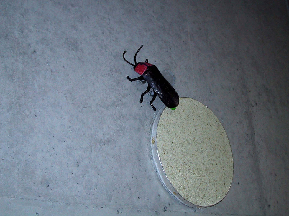 ブロンズ蛍.jpg
