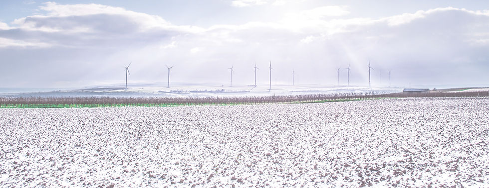 cottonfarm-(1).jpg
