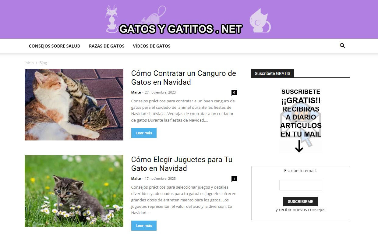 gatosygatitos.net