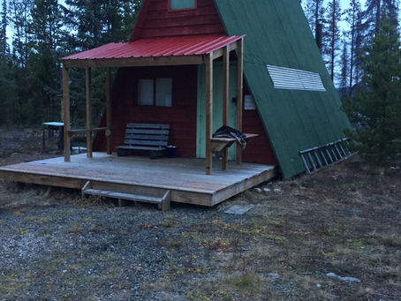 Moose Hunting Tips for Beginners