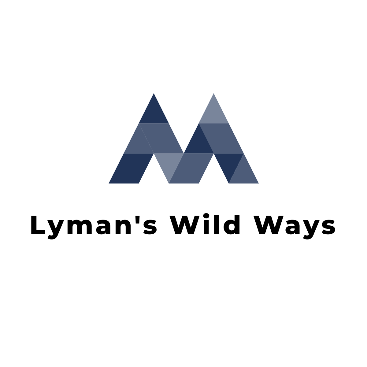 Writer: The Wild Ways