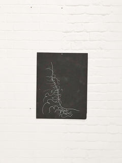 IMG_6273.jpeg