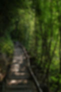 LasBalsas_path.jpg