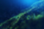 iStock-1204188116.jpg