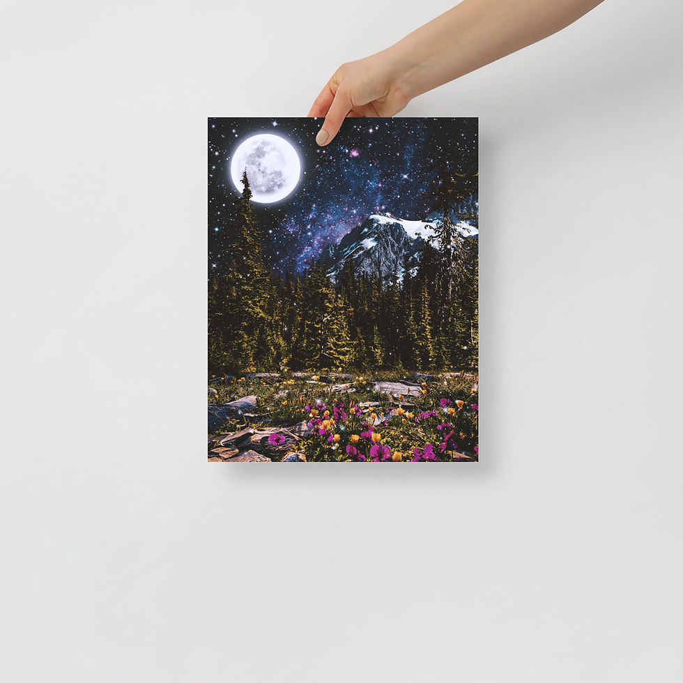 Thumbnail: Enchanted Forest