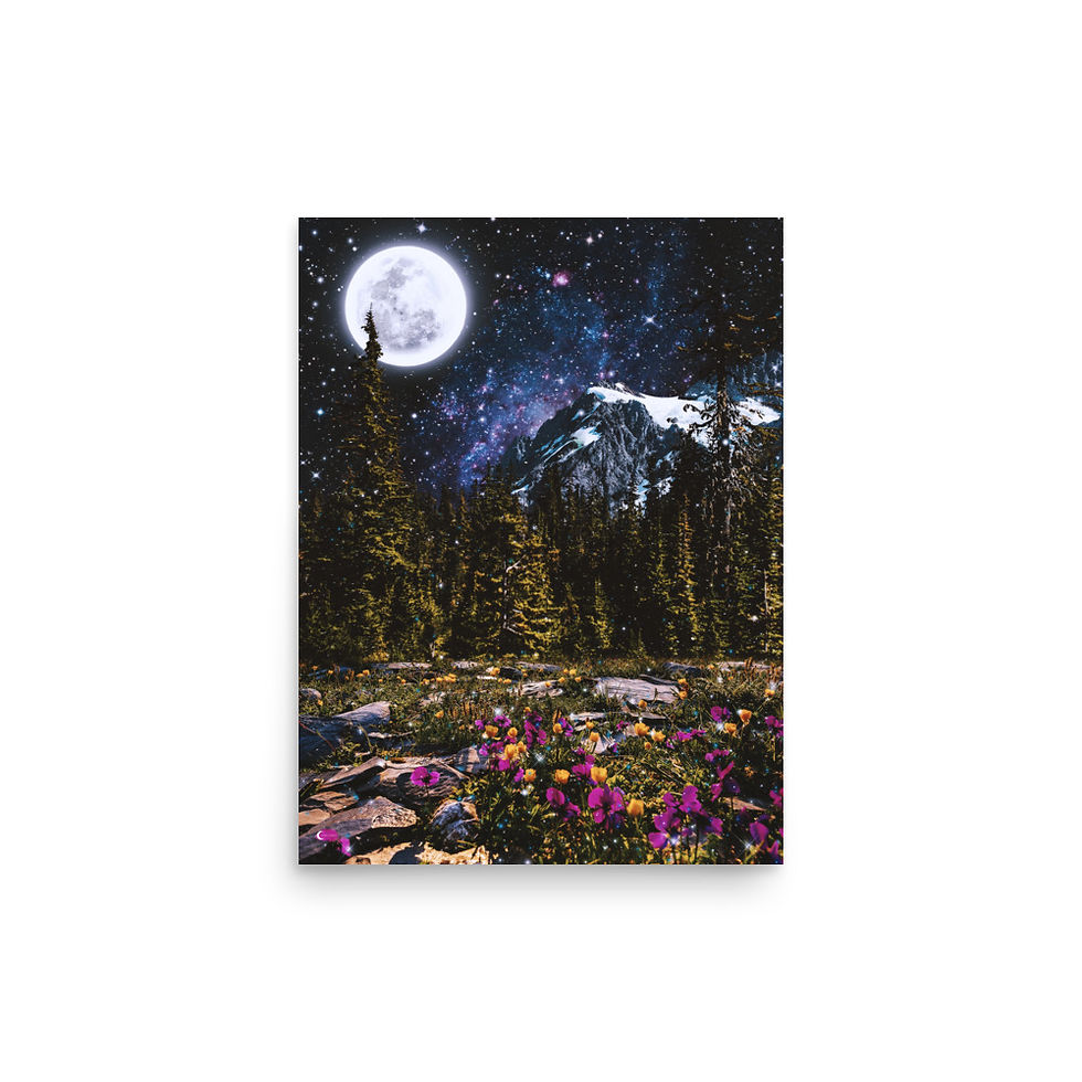 Thumbnail: Enchanted Forest