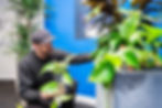 Plant Maintenance