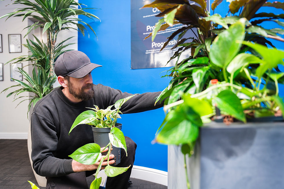 Plant Maintenance