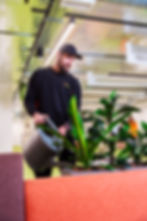Plant Maintenance