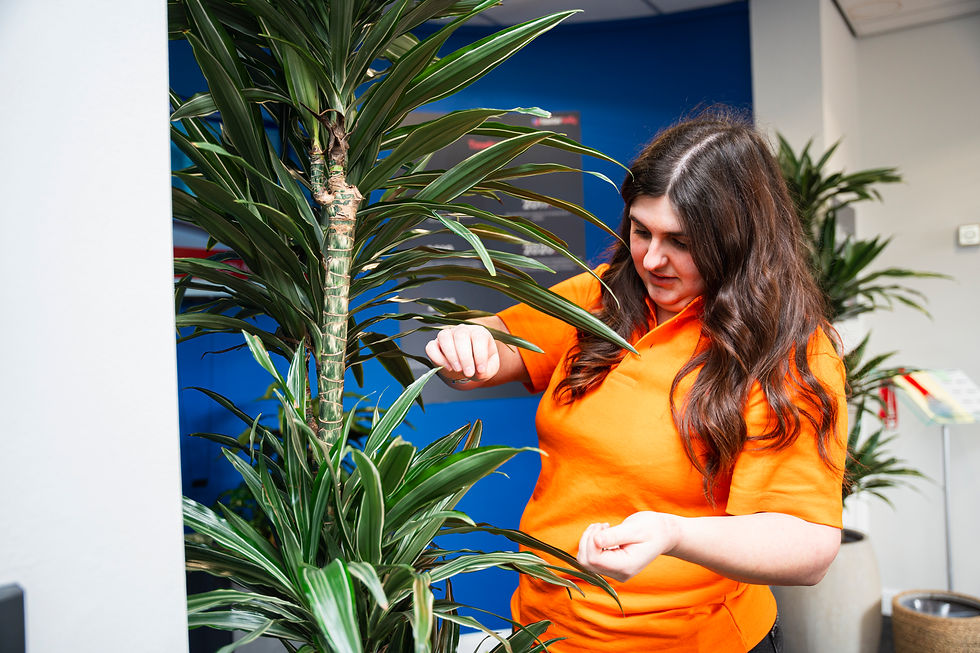 Plant Maintenance
