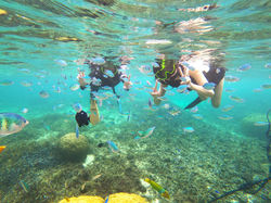 LjmqKZ8W_plan_image_4