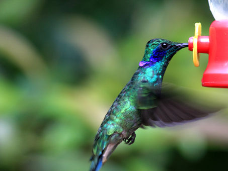 Light as a feather