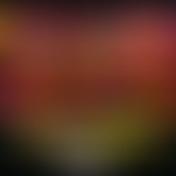 Capturing Essence: A Branding Photographer's Guide to Photographing Brand Personality