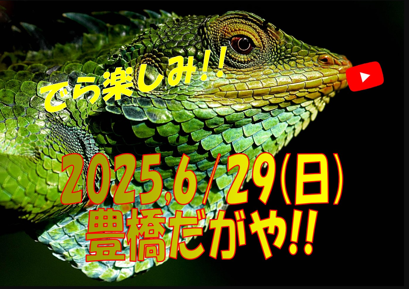 12070223_2