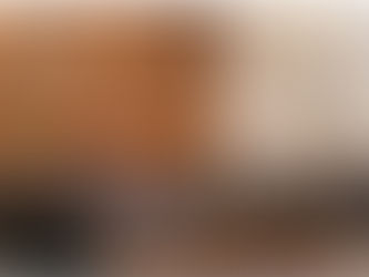 TRE-SC cassa mandato de vereador por abuso de poder econômico e decreta inelegibilidade por 8 anos