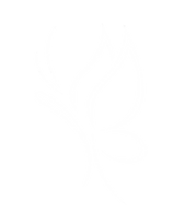 Butter White_edited_edited.png