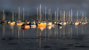Early Morning Harbour.jpg