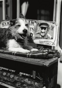 Force 1994 #011, 1996 London