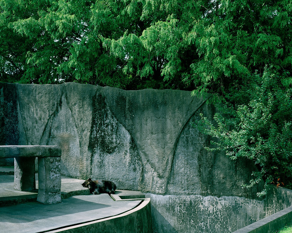 toyohashi zoo #009