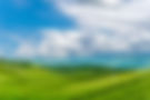 shutterstock_2497778479.jpg