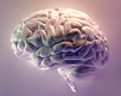 1. Boosts Retention by 20%+