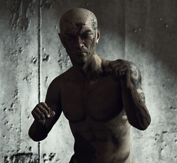 Rolo the Boxer 04.jpg