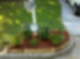 Red Designer Mulch