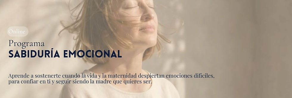 Bienvenida BANNER (48).jpg