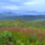 6C0275CF-7ACC-4453-AB7B-5BC2623C20B9_edited_edited.jpg