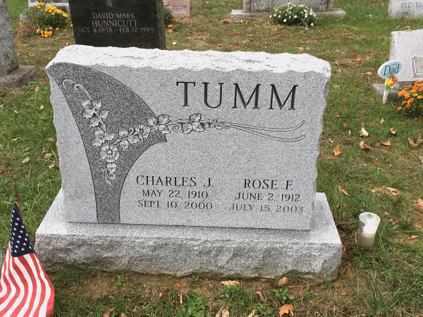 clean tumm.gif