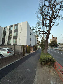 e29f7cace3d76fad49d44cbed0264a14