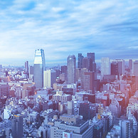 東京不動産コンサルティング