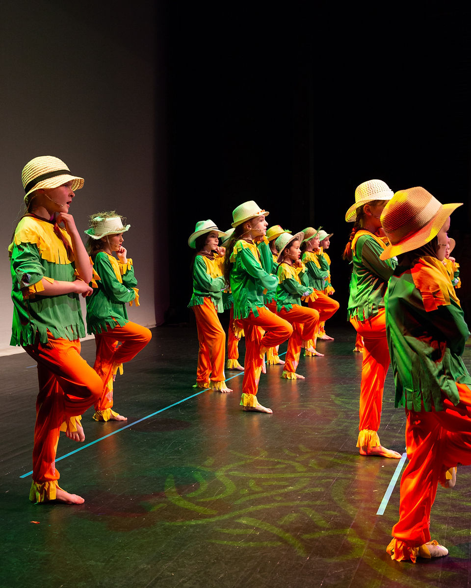 Summer Memoirs Dance Show