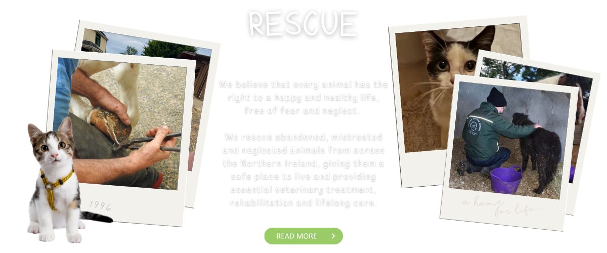 Reward For Rescue Rescue