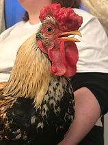 DSCN4686.jpg