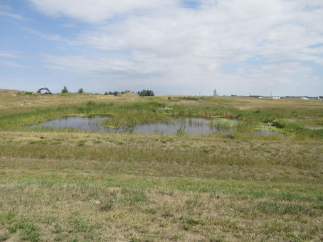 "flip!!! it's THE grassy lake!!!!"