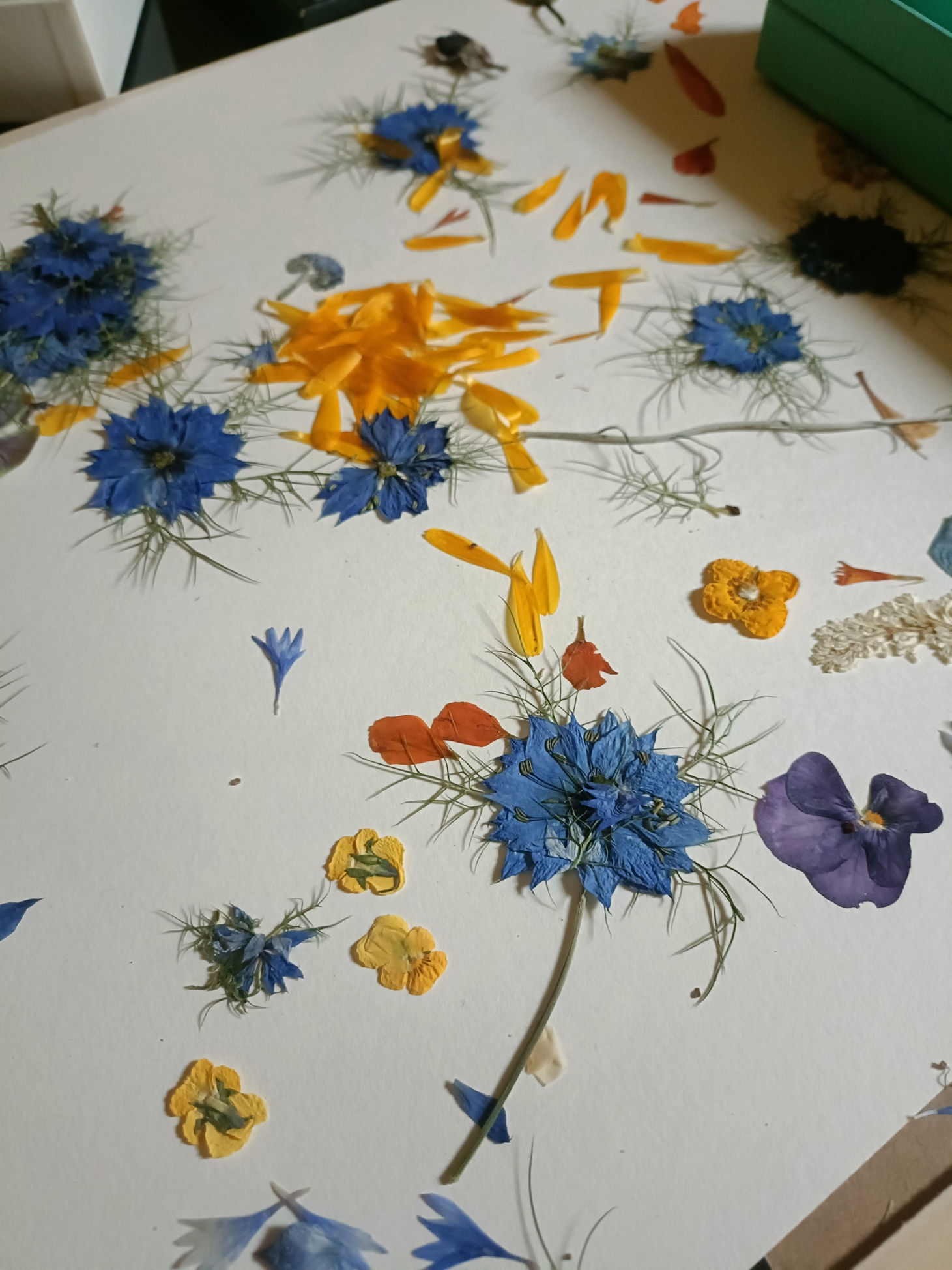 Fleurs séchées comestibles