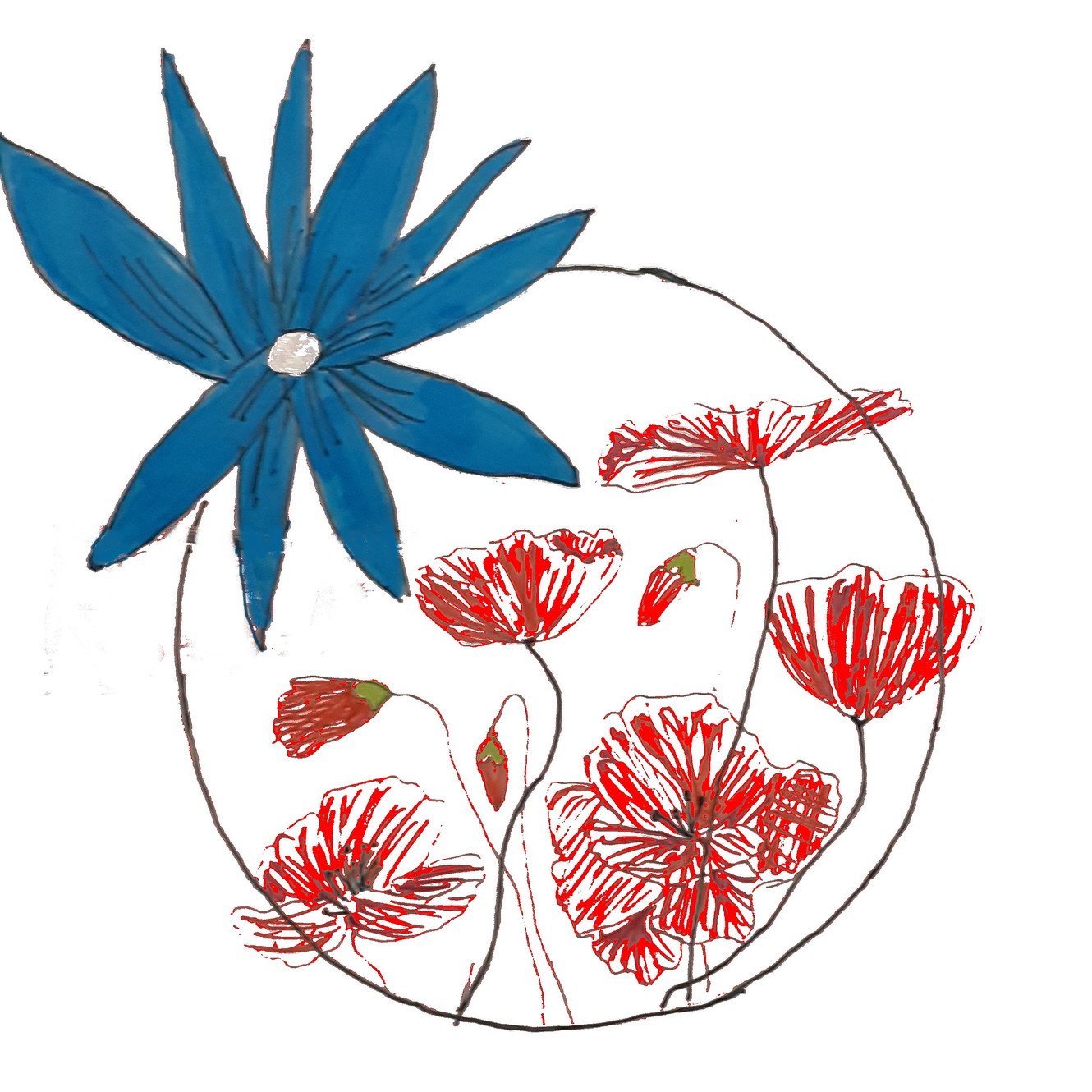 Rebecca Les Jolies Fleurs
