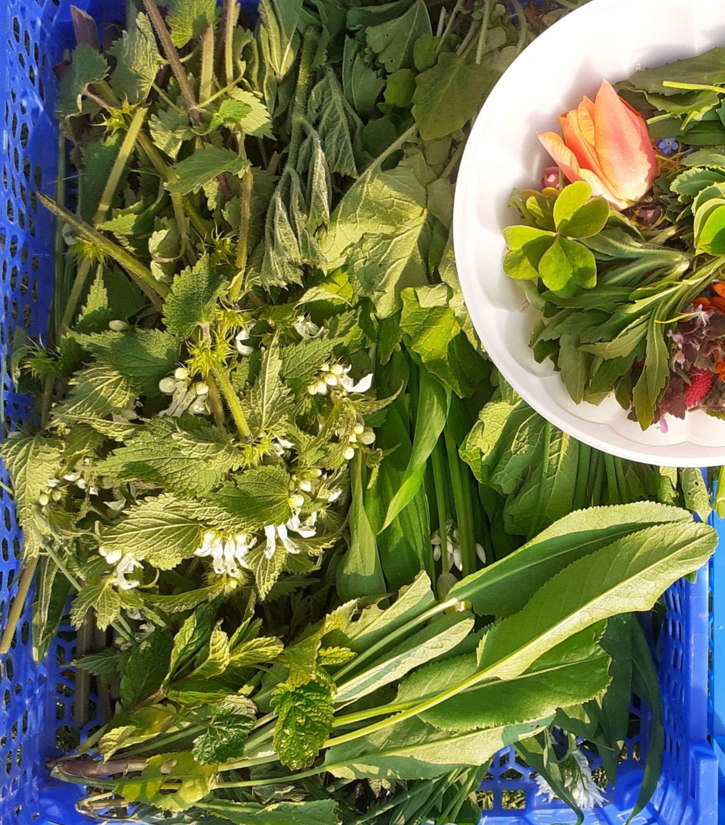 La salade royale de mon pépé